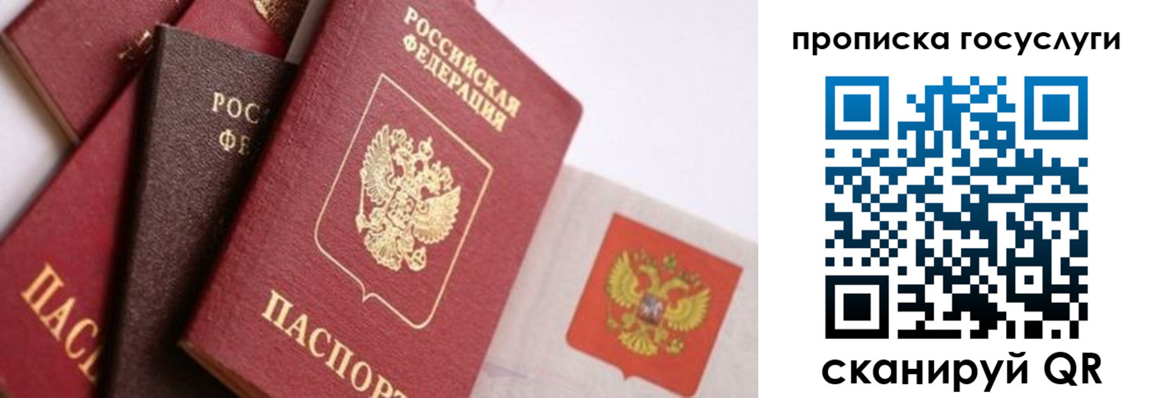 прописка законно в Шарыпово